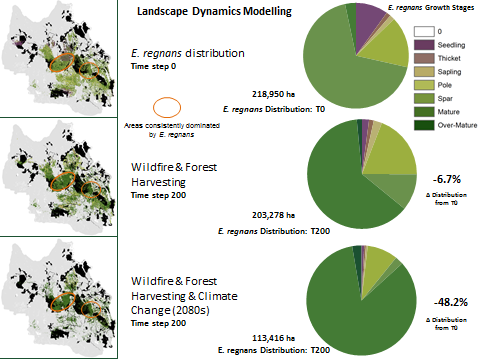 landscape distribution and dynamics E regnans
